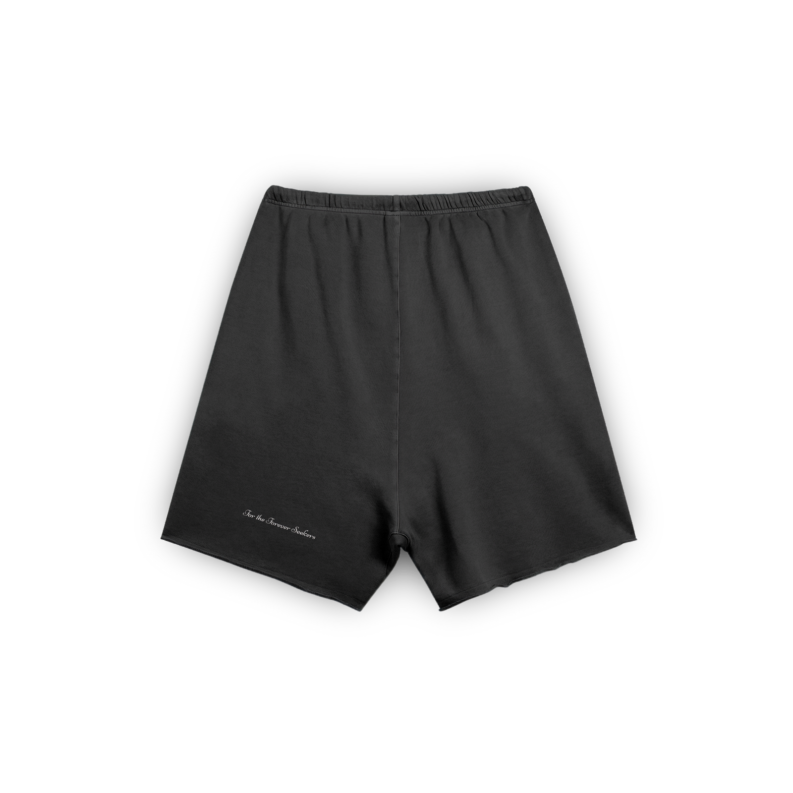 Washed Shorts "For Seekers"